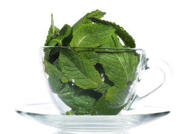 beyaz izole cam fincan nane yaprakları