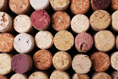 şarap mantarlar yakın çekim