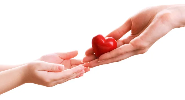 Heart in hands isolated on white — Stock Photo, Image