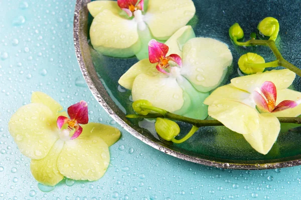Krásné květy orchidejí ve vodě detail — Stock fotografie