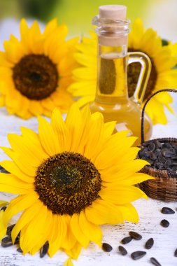 ayçiçeği tohumu ve yağlıboya tablo yakın çekim