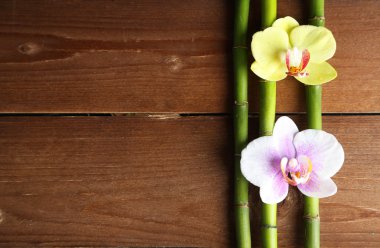 Orkide çiçekleri ve bambu ahşap arka plan üzerinde