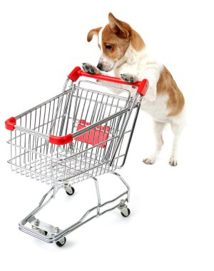 Köpeğin alışveriş arabası beyazda izole.