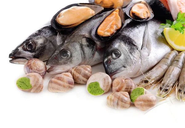 Pescado fresco y otros mariscos aislados en blanco — Foto de Stock