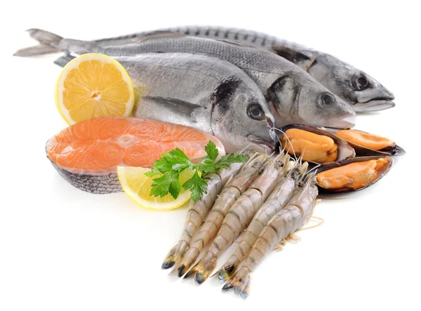 Peixes frescos e outros frutos do mar isolados a branco — Fotografia de Stock