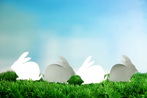 Papel Conejos de Pascua sobre hierba verde, sobre fondo de cielo —  Fotos de Stock