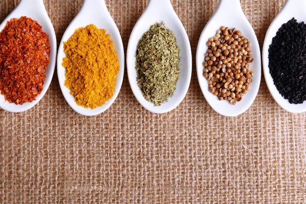 Different kinds of spices in ceramics spoons, on sackcloth background — Stock Photo, Image