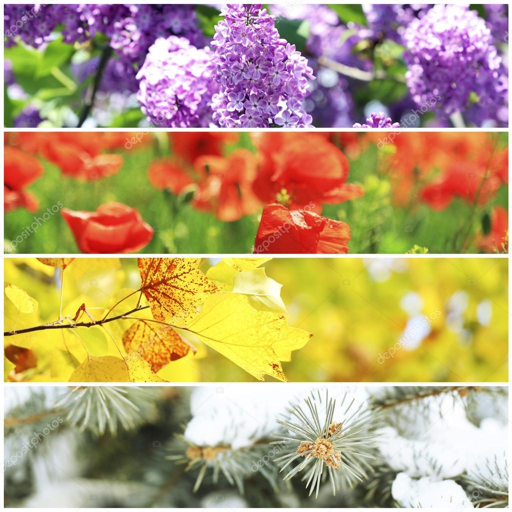 Four seasons collage: winter, spring, summer, autumn