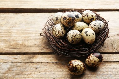 Kuş yumurta yuvada ahşap arka plan üzerinde