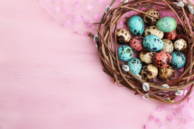 Kuş yuvaya parlak arka plan üzerinde renkli yumurta