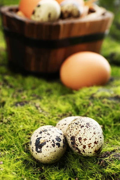 緑の草の背景に木製のバケツで鳥の卵 — ストック写真
