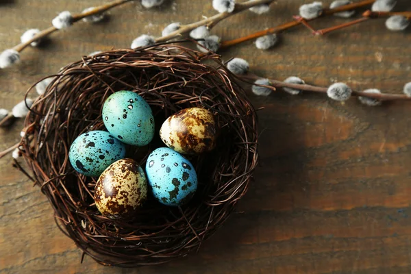 Huevos de ave en nido y flores de sauce coño ramas sobre fondo de madera — Foto de Stock