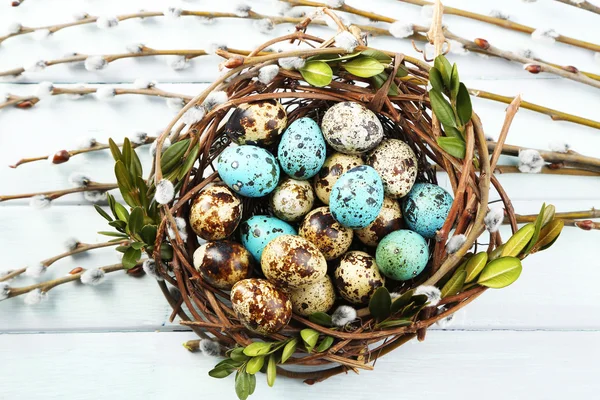 Bird eggs in nest on color wooden background — Stock Photo, Image