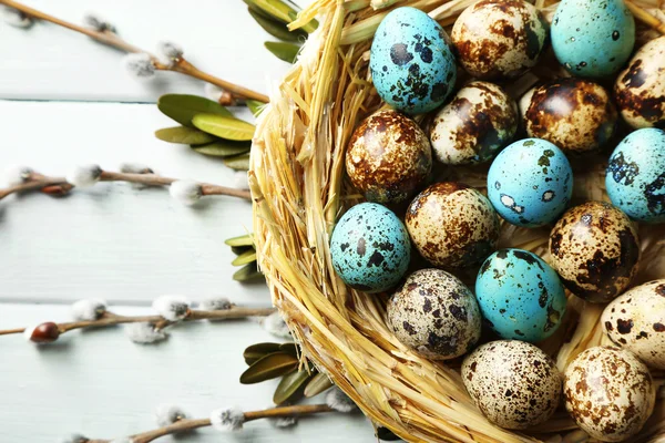 Huevos de ave en nido sobre fondo de madera — Foto de Stock