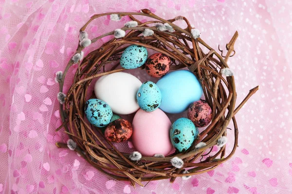 Bird colorful eggs in nest on bright background