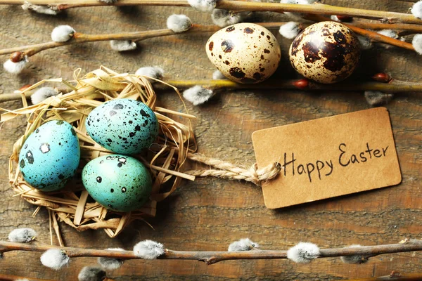 Bird eggs in nest and pussy willow flowers branches on wooden background — Stock Photo, Image