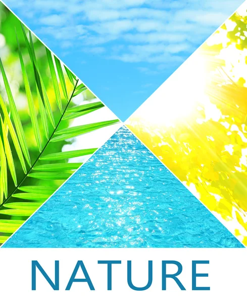 Wasser, Pflanze, Himmel und Sonne in Collage, Konzept der Naturkomponenten — Stockfoto