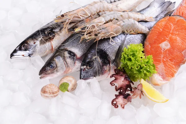 Fresh fish and other seafood on ice — Stock Photo, Image