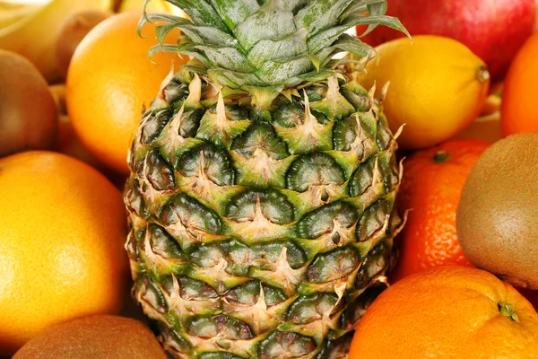 Assortiment van exotische vruchten close-up — Stockfoto