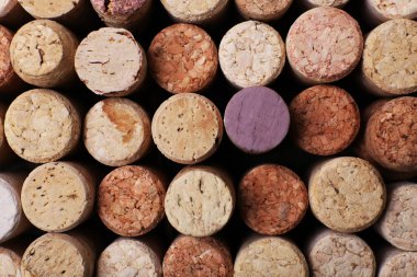 şarap mantarlar yakın çekim