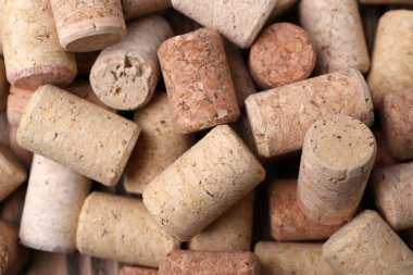 şarap mantarlar yakın çekim