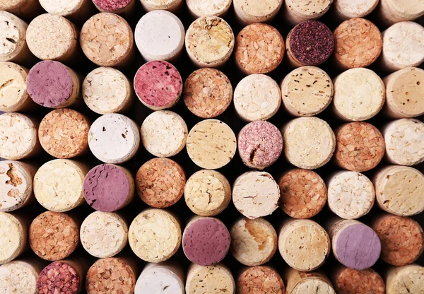 Wine corks close up — Stock Photo, Image