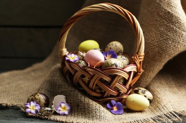 Kuş yumurtaları hasır sepet içinde