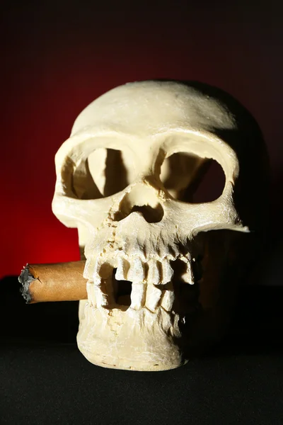 Smoking human scull with cigar in his mouth on dark color background — Stock Photo, Image