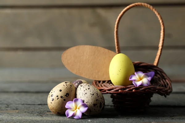 Bird eggs in wicker basket — Stock Photo, Image