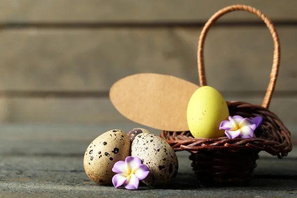 Bird eggs in wicker basket — Stock Photo, Image