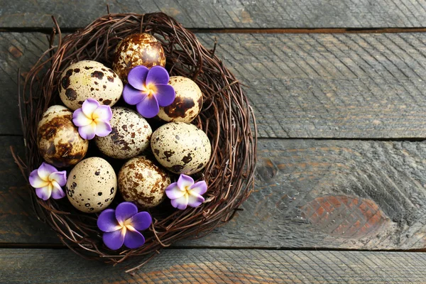 Fågelägg med dekorativa blommor — Stockfoto