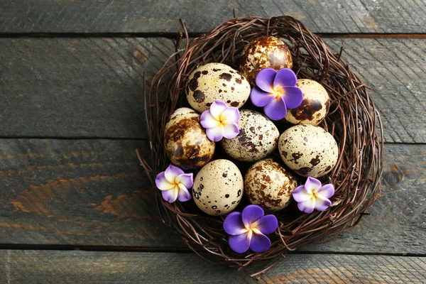 Fågelägg med dekorativa blommor — Stockfoto