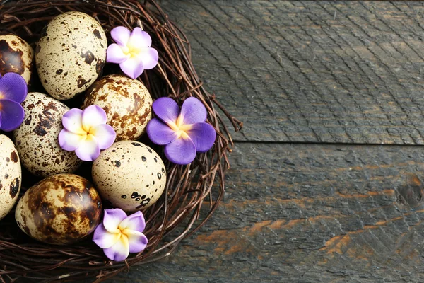 Птичьи яйца с декоративными цветами — стоковое фото
