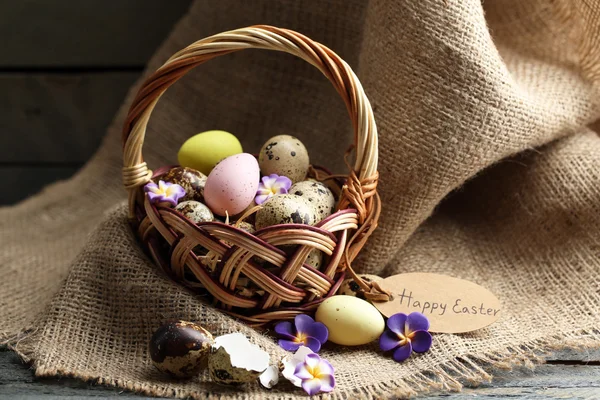 Bird eggs in wicker basket — Stock Photo, Image