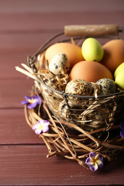 Bird eggs in wicker basket — Stock Photo, Image