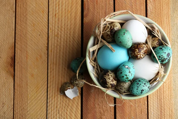 Bird colorful eggs — Stock Photo, Image