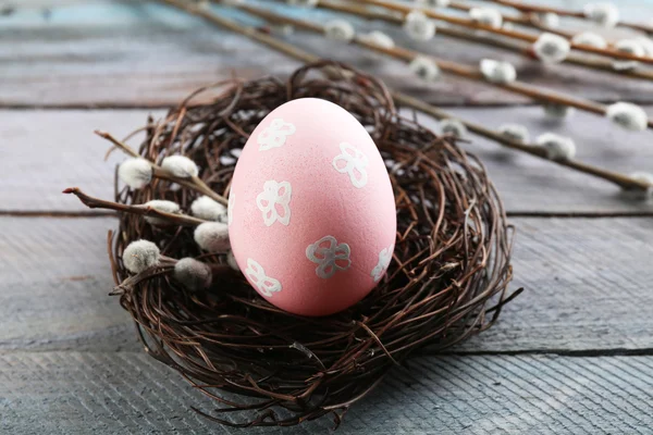 Bird colorful egg — Stock Photo, Image