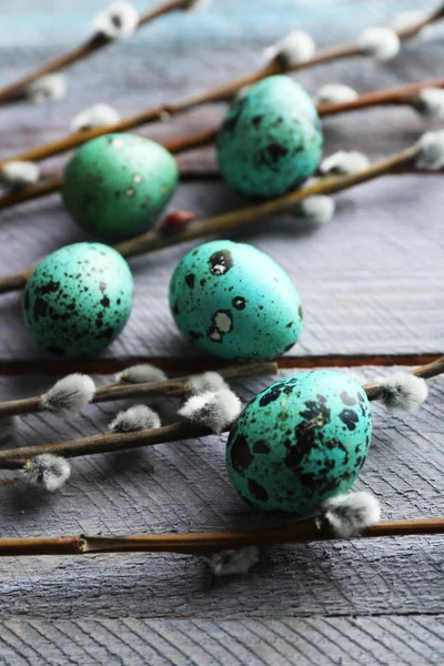 Kleurrijke vogel eieren — Stockfoto