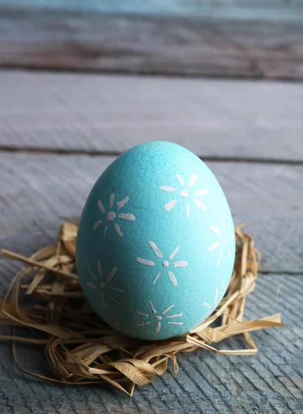 Bird colorful egg — Stock Photo, Image