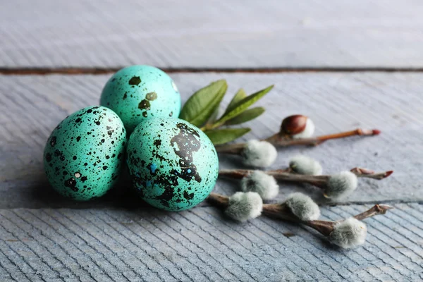Kuş renkli yumurta — Stok fotoğraf