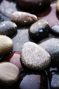 Islak deniz çakıl, makro görünümü