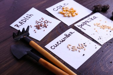 Zemin ve Bahçe aletleri ahşap arka plan üzerinde kağıt parçası üzerinde farklı tohumlar