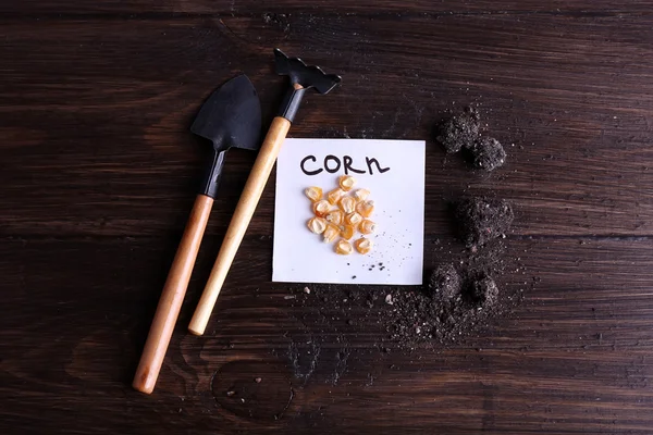 Corn seeds on piece of paper with ground and gardening tools on wooden background — Stock Photo, Image