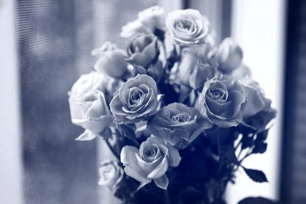 Bellissime rose in bianco e nero — Foto Stock