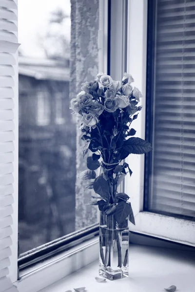 Lindas rosas em vaso em preto e branco — Fotografia de Stock