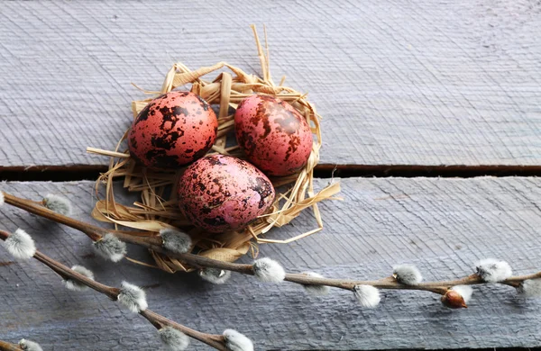 Ptak kolorowych jaj w gnieździe drewniane tła — Zdjęcie stockowe
