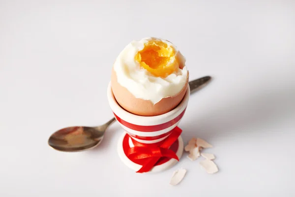Gekochtes Ei im Halter auf hellem Hintergrund — Stockfoto