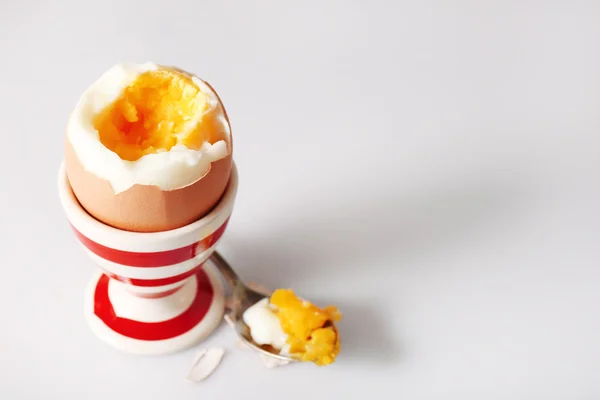 Főtt tojás tartó-ra könnyű háttér — Stock Fotó