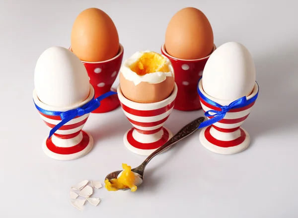 Boiled eggs in holders on light   background — Stock Photo, Image