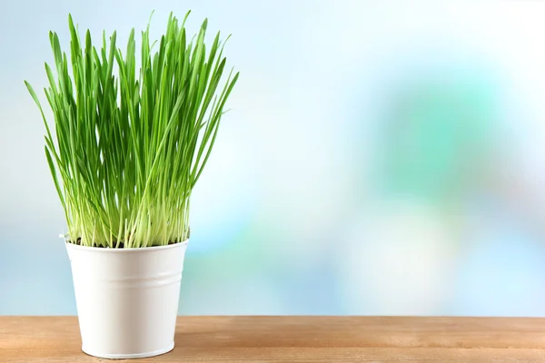 Frisches grünes Gras in kleinem Metalleimer, auf Holztisch, auf hellem Hintergrund — Stockfoto